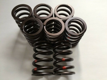 Verstärkte Ventilfedern Typ 4